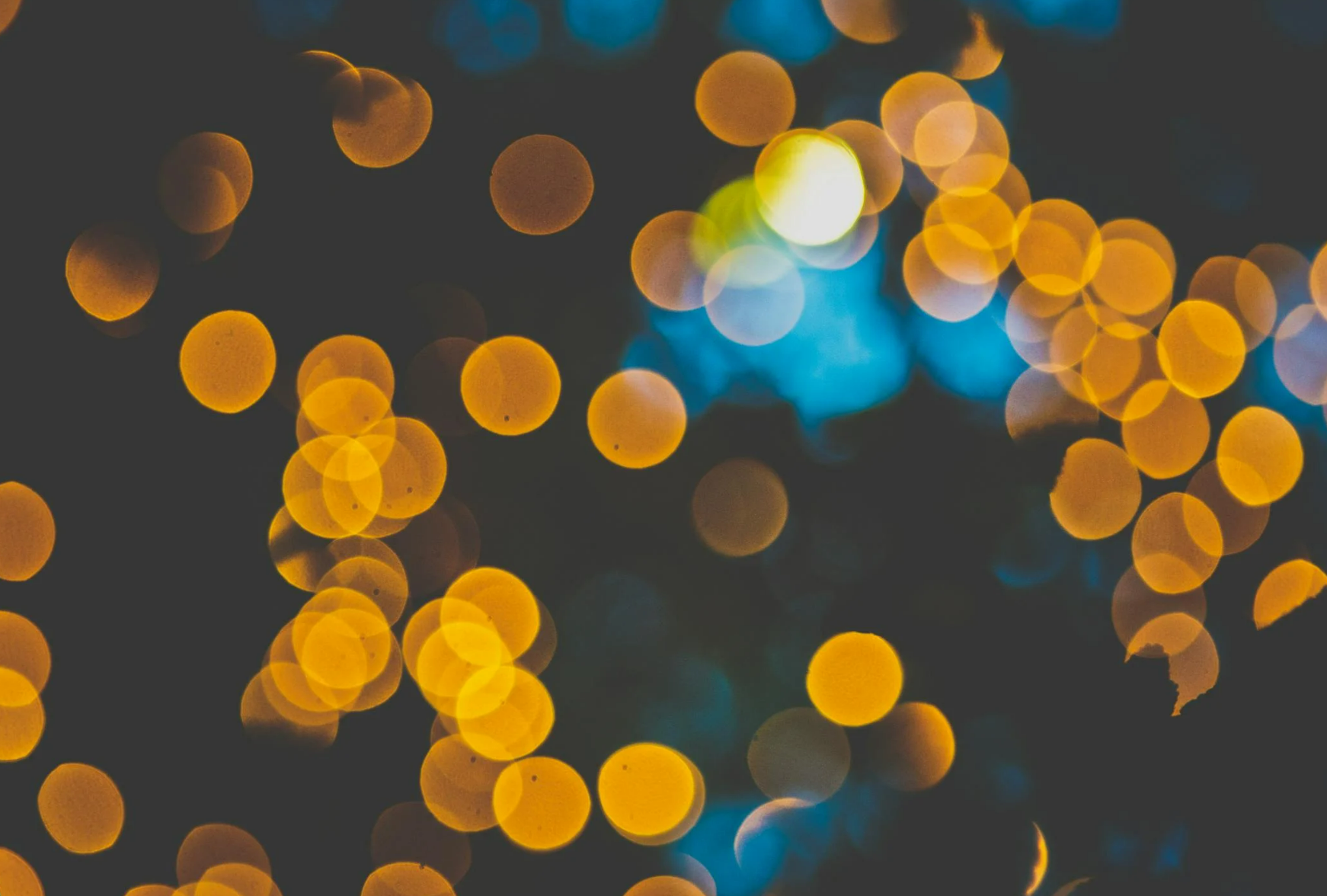 1ce028b1-8987-4fff-a660-521896456736