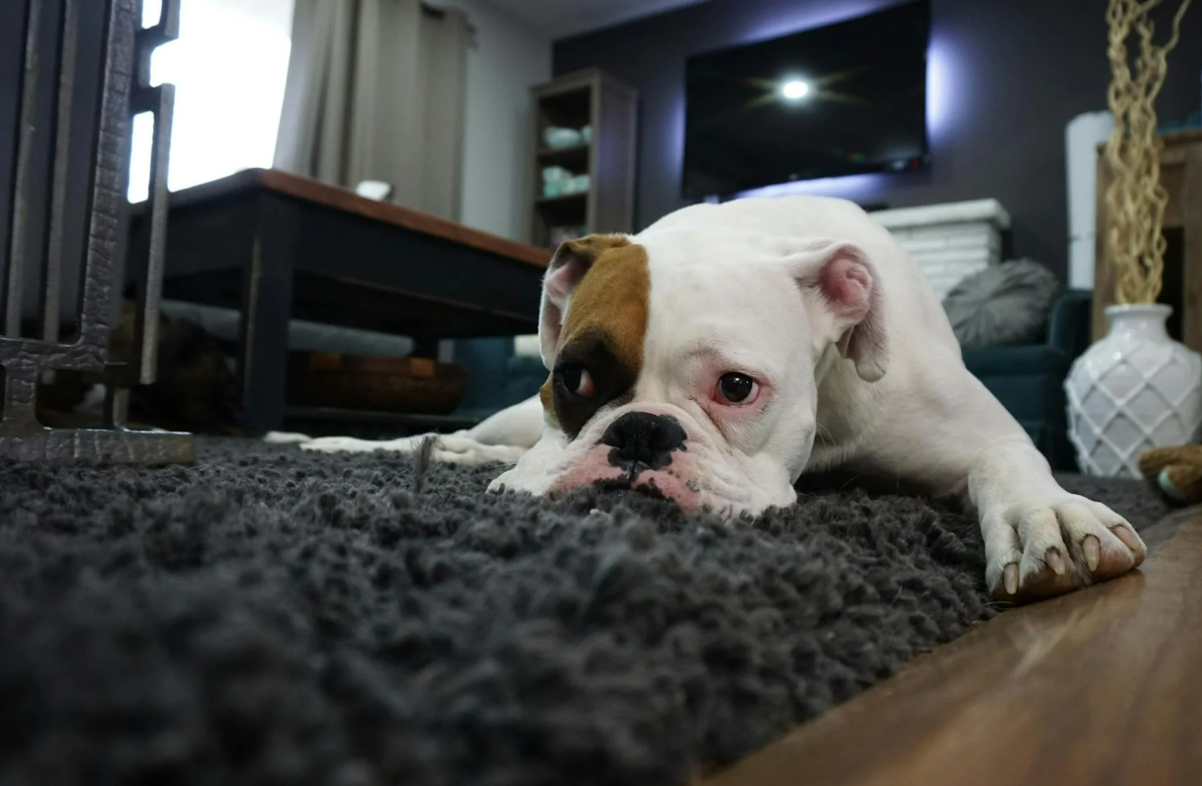 736b6494-b027-42b9-a33a-db667e135d86